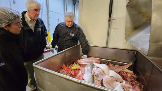 Aprovechamiento del Pescado