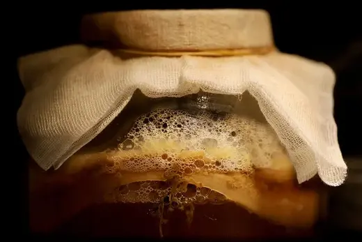 textiles ecológicos a partir de kombucha