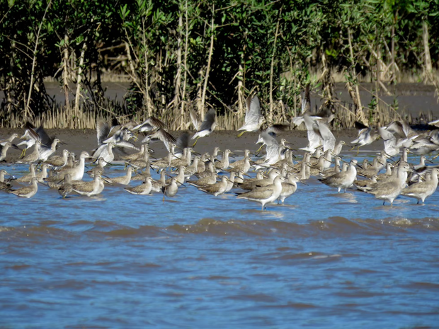 conservación de la biodiversidad