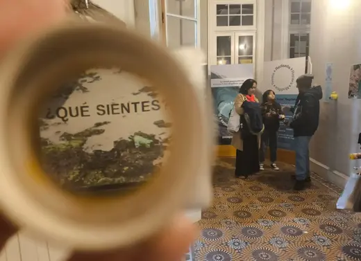 cultura ambiental