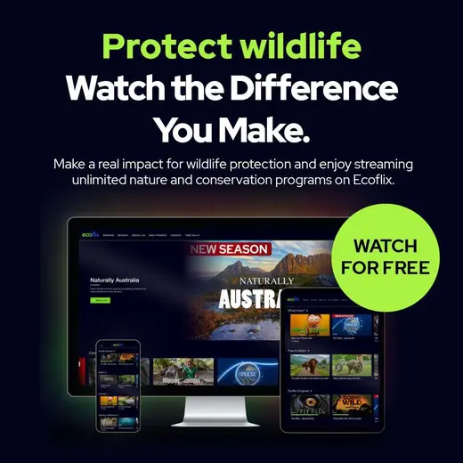 protección ambiental