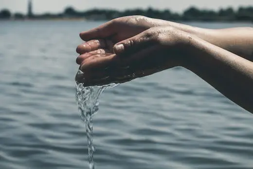 día del agua