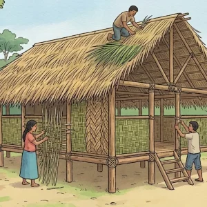 ¿Cómo los biomateriales amazónicos están logrando enfriar casas sin usar aire acondicionado?