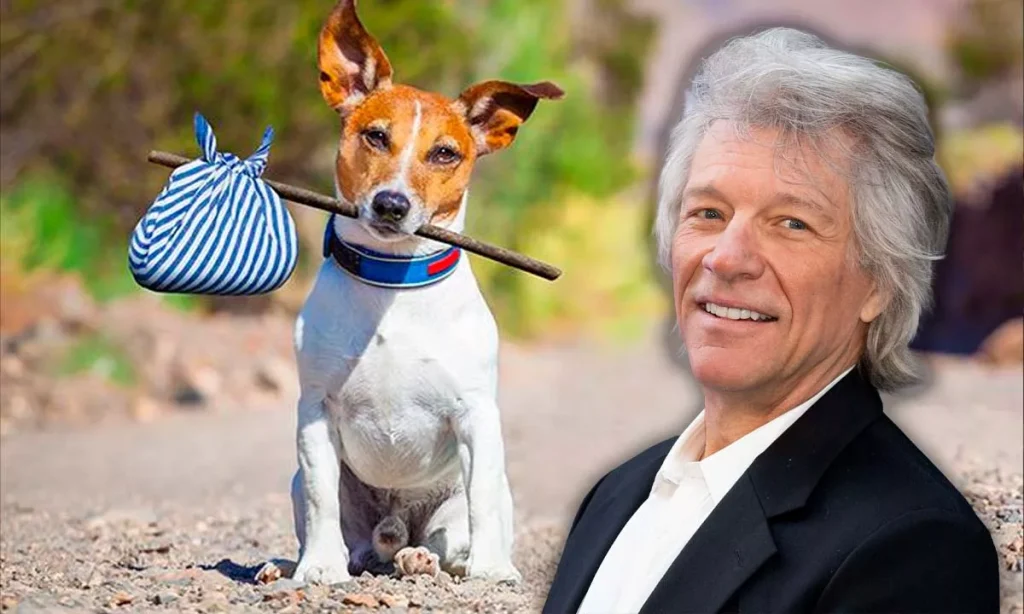 perros en adopción 