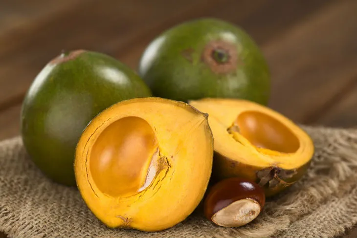 Lúcuma