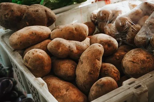 papas nativas