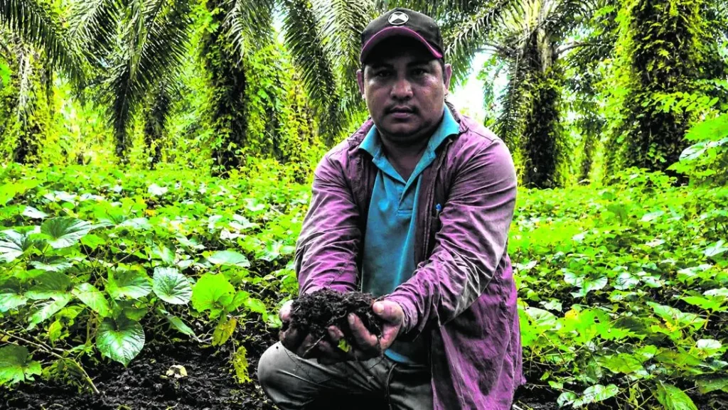 Agricultura regenerativa